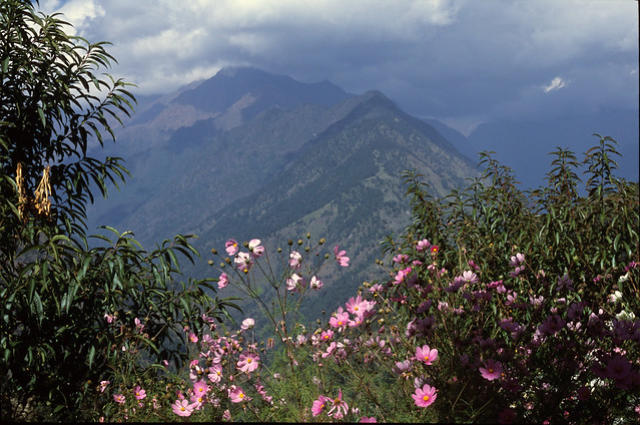 The view from Wasanti's garden, Pindari Glacier Trek.