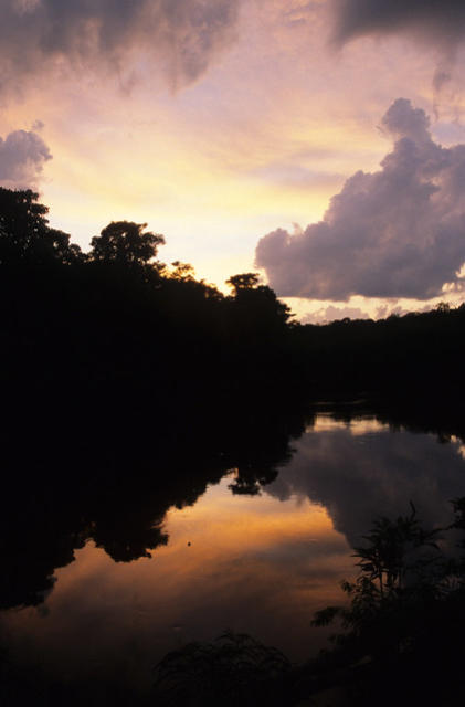 Sunrise on the Cauaburi River, Brazil.