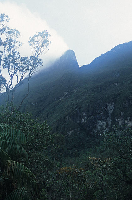 Pico da Neblina, Brazil.