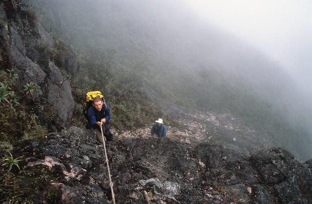 Rowan Castle climbing the final fixed rope on Pico da Neblina, Brazil.